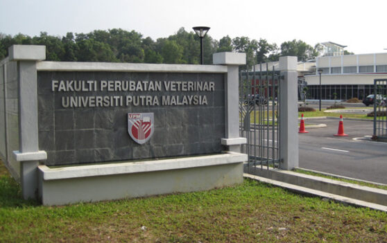 Faculty of Veterinary Medicine UPM Serdang | Artisticcontrols.com